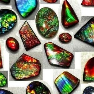 Meet your Posher, Home